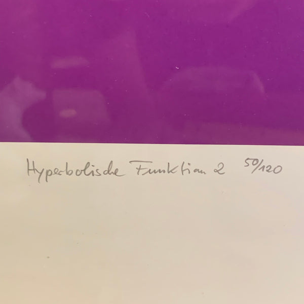 Limitierter Serigraphie hyperbolische Funktion 2