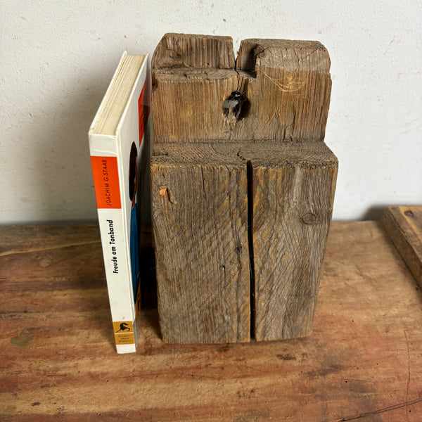 Buch Freude am Tonband