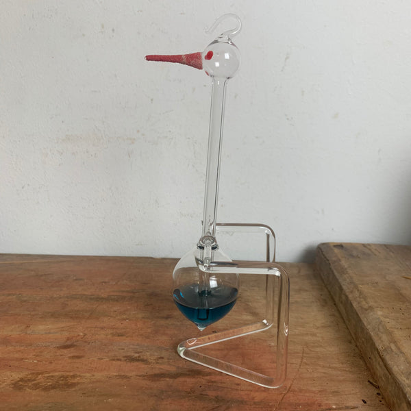 Schluckspecht Einsteins Drinking Duck blau