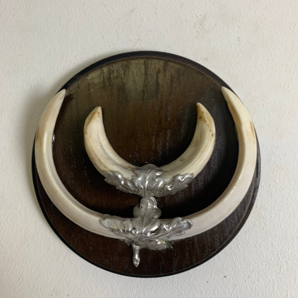 Trophäe Keilerbrett