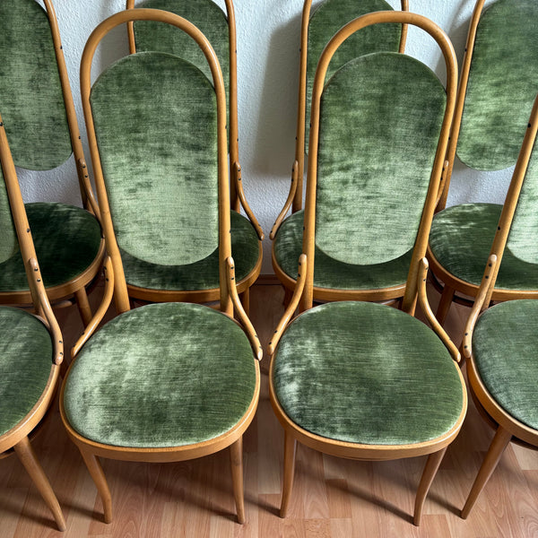 8 Kaffeehausstühle von Thonet Hochlehner Stuhl