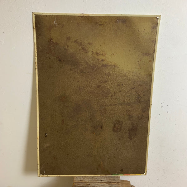 Vintage Blechschild Nexit Pflanzenschutz
