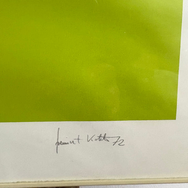 Limitierter Serigraphie hyperbolische Funktion 3