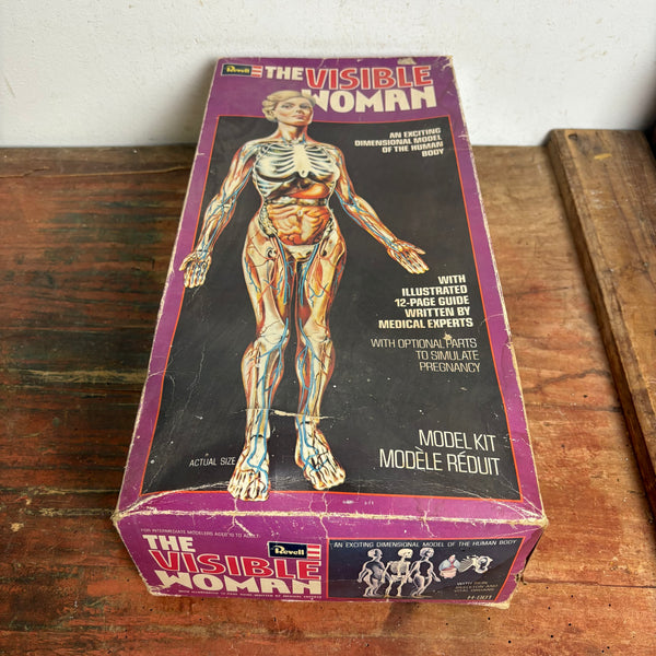 Vintage Modellbausatz The Visible Woman von Revell