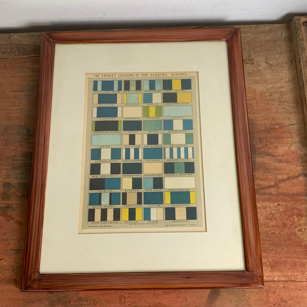 Antike Lithografie The Cricket Colours of our Leading Schools