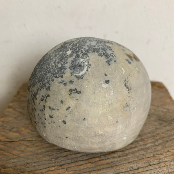 Seeigel Fossil