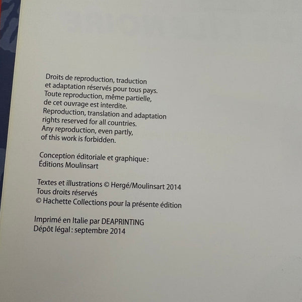 Modell Figur und Buch Tim und Struppi das beigefarbene Flugzeug der Geldfälscher mit Bandit aus Die Schwarze Inse
