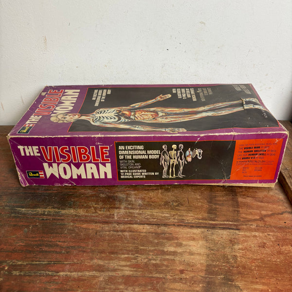 Vintage Modellbausatz The Visible Woman von Revell