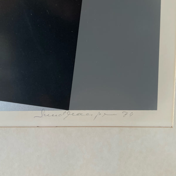 Op Art Faltungen von Helmut Sundhaußen