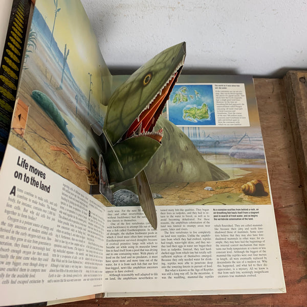 Pop Up Buch Evolution
