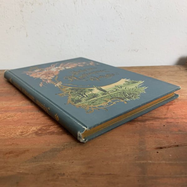Buch Gedichte von Johanna Ambrosius