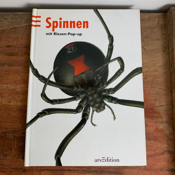 Pop Up Buch Spinnen