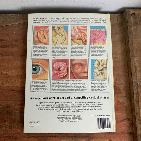 Pop Up Buch Evolution