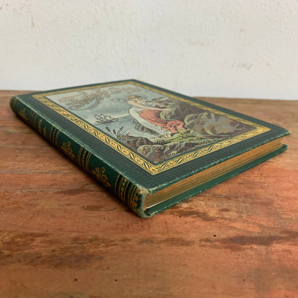 Buch Frithjofs Sage von Esaias Tegners