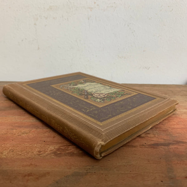 Buch Schwert und Rose von Paul Freiherr von Roëll