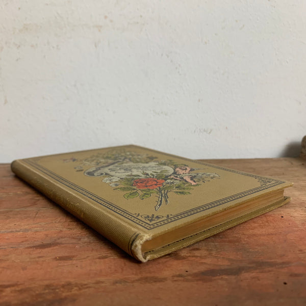 Buch Frithjofs Sage von Esaias Tegners