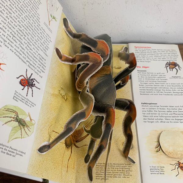 Pop Up Buch Spinnen