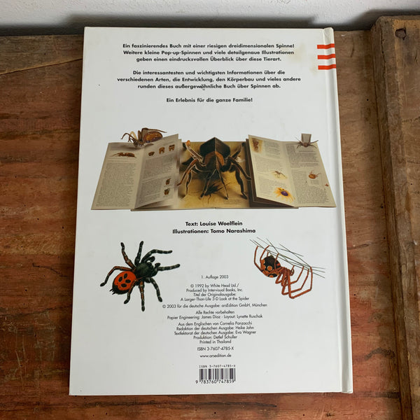 Pop Up Buch Spinnen