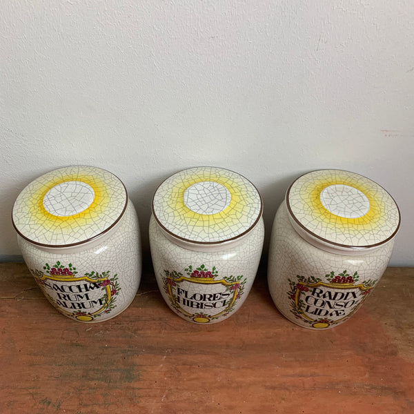 3 vintage Apotheken Gefäße von Herr Fajance Anna Hütte