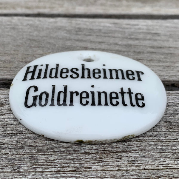 Porzellan Schild Apfel Hildesheimer Goldreinette