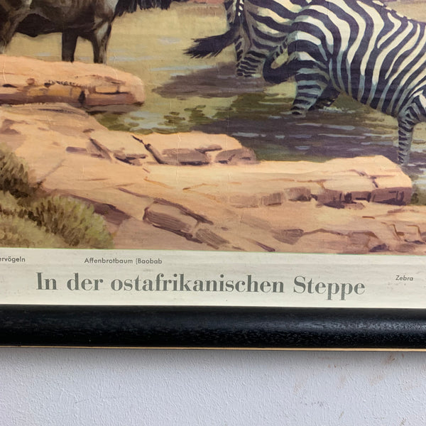 Alte Schulkarte Geografie