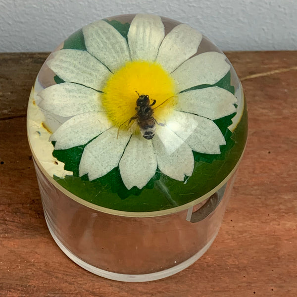 Vintage Honigdose aus Acrylglas