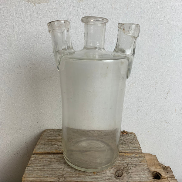 Antike Laborflasche Frasco Wolf