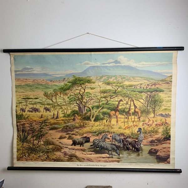 Alte Schulkarte Geografie
