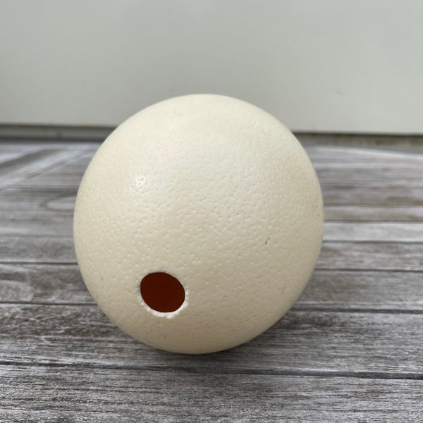 Leeres Straußenei Deko 15 cm
