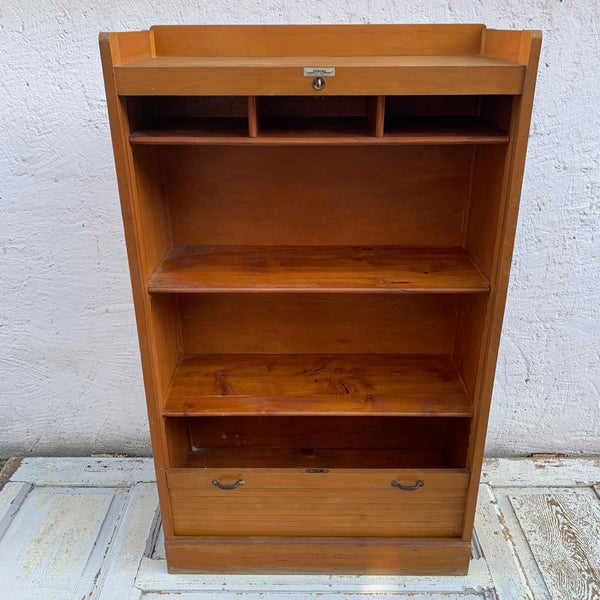 Vintage Rollschrank