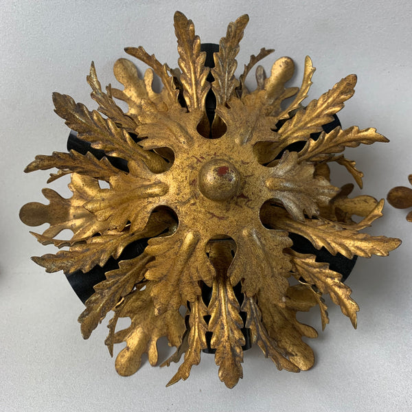 Ein Paar vergoldete Vintage Deckenlampe mit 6 Leuchten von Banci Firenze